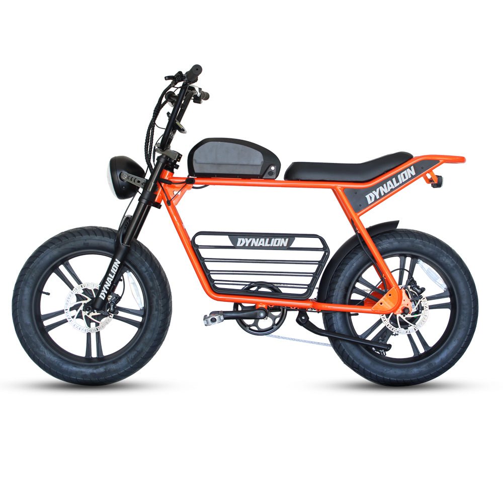 DYNALION K7 - 2 1000W 20 - Inch Fat Tire Mountain E - Bike - The Wright Bikes